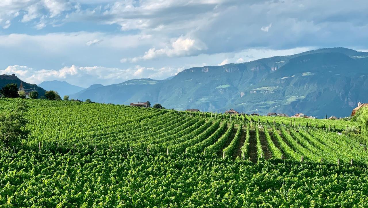 Apartmán Weingut Gasshof Appiano Sulla Strada Del Vino Exteriér fotografie